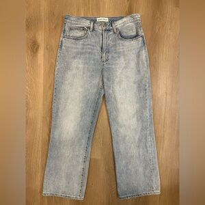 Aritzia Denim Forum - The Farah High Rise Wide Leg Jean